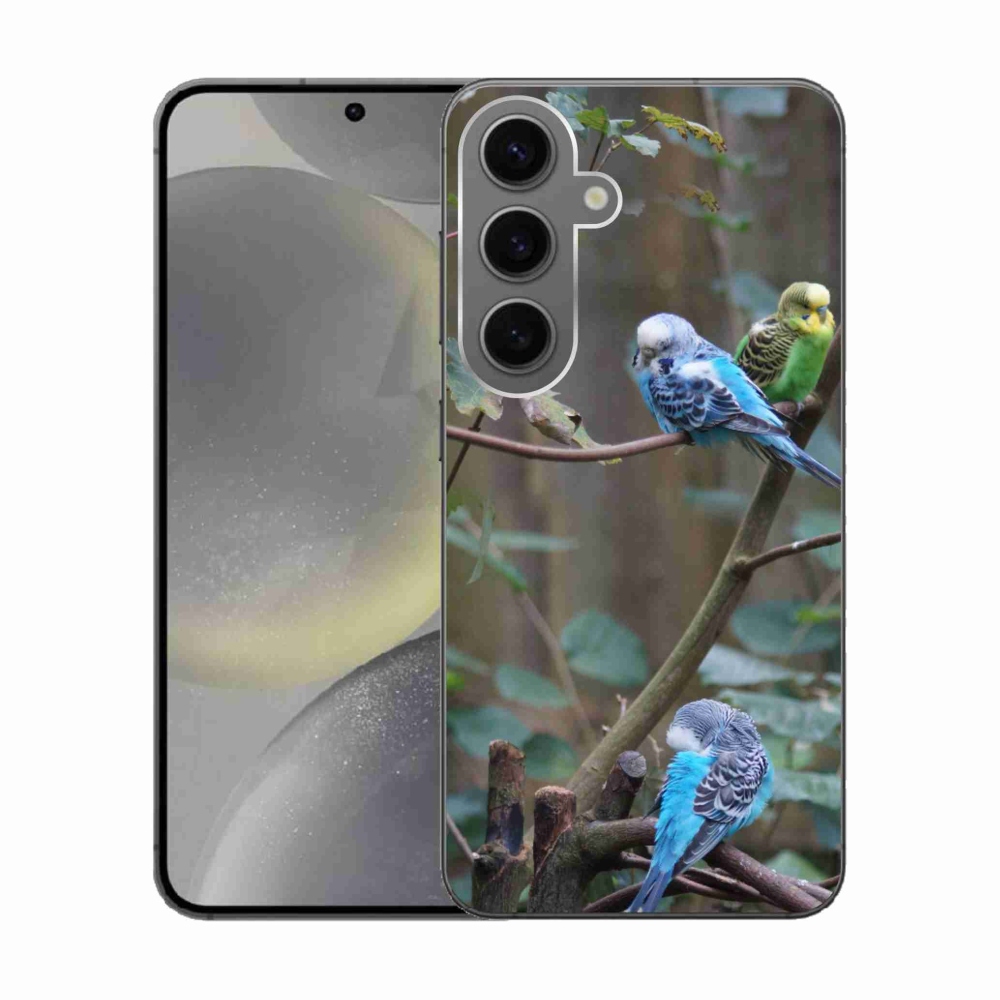 Gélový kryt mmCase na Samsung Galaxy S24 - papagáje na vetve
