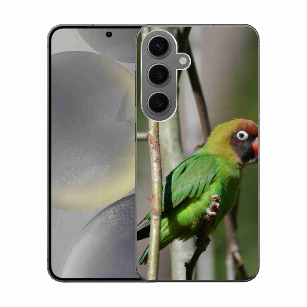 Gélový kryt mmCase na Samsung Galaxy S24 - papagáj agapornis