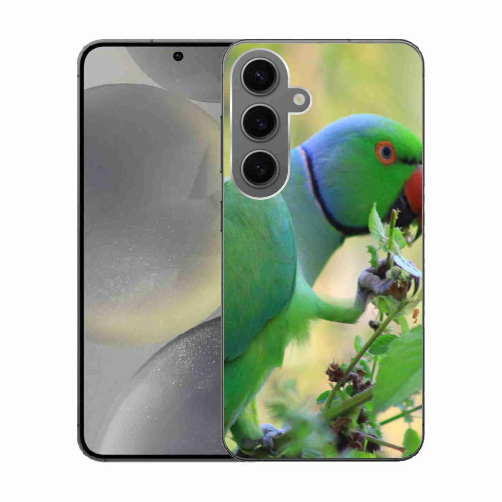 Gélový kryt mmCase na Samsung Galaxy S24 - papagáj Alexandr