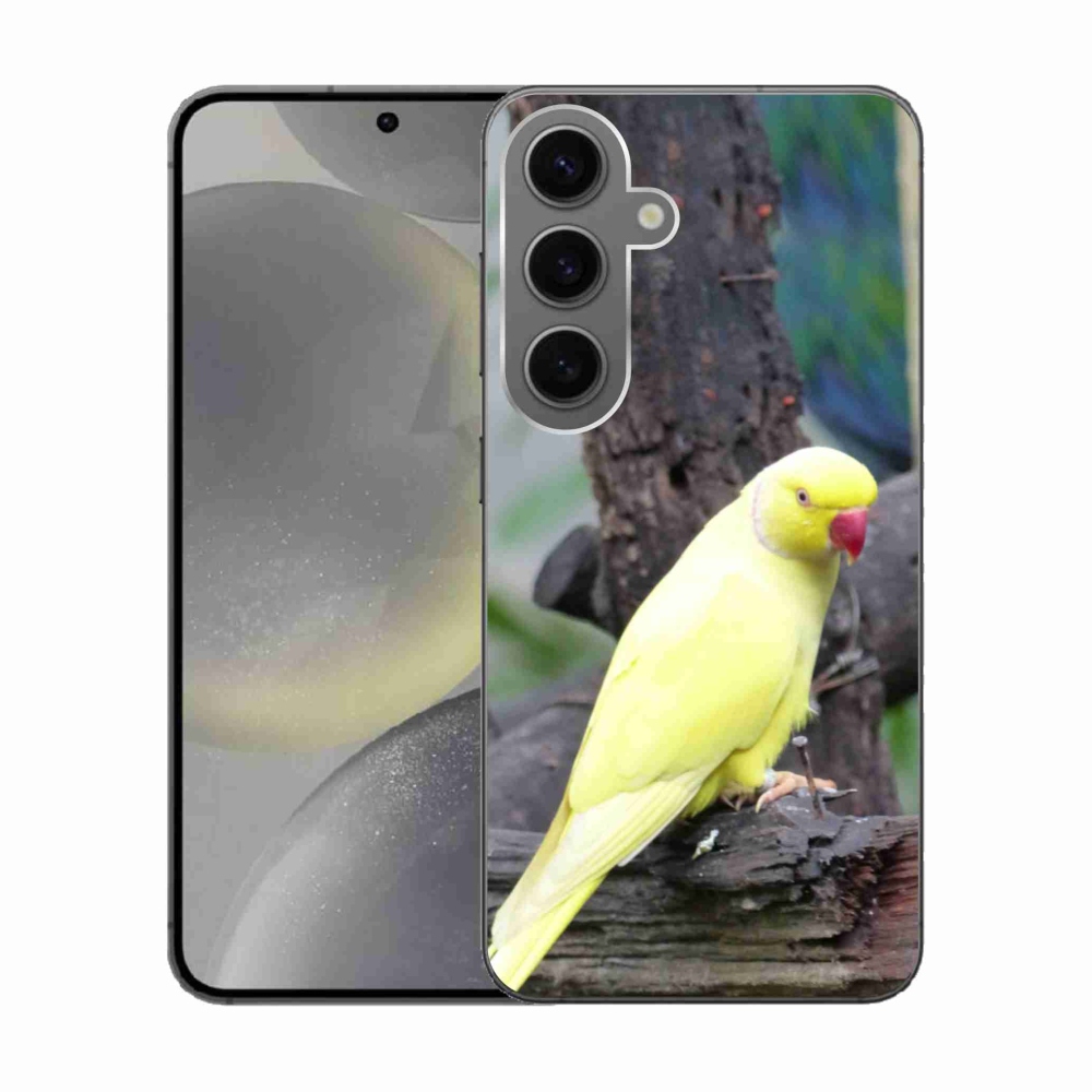 Gélový kryt mmCase na Samsung Galaxy S24 - papagáj alexander žltý