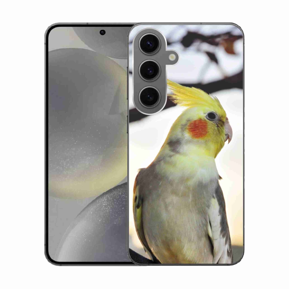 Gélový kryt mmCase na Samsung Galaxy S24 - papagáj korela