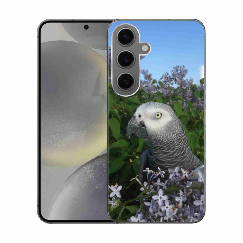 Gélový kryt mmCase na Samsung Galaxy S24 - papagáj žako