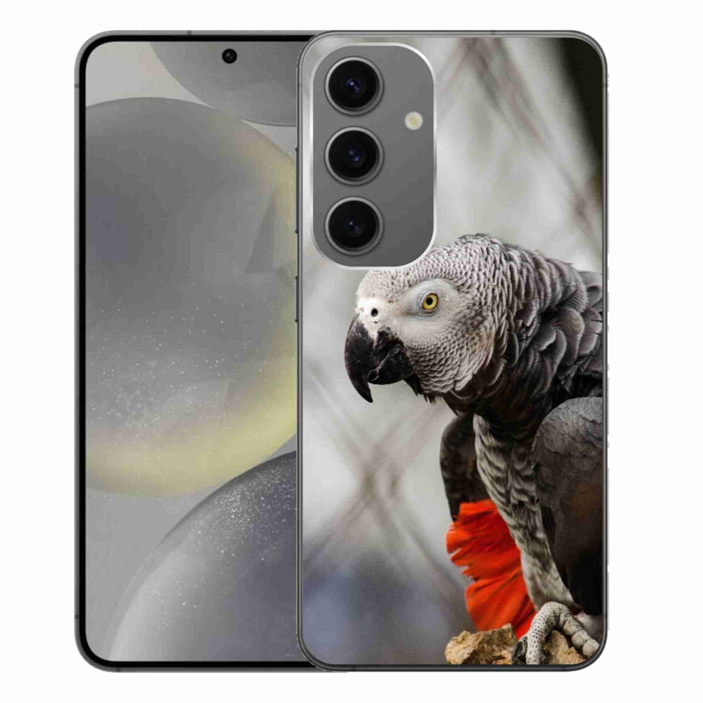Gélový kryt mmCase na Samsung Galaxy S24+ - papagáj žako 3