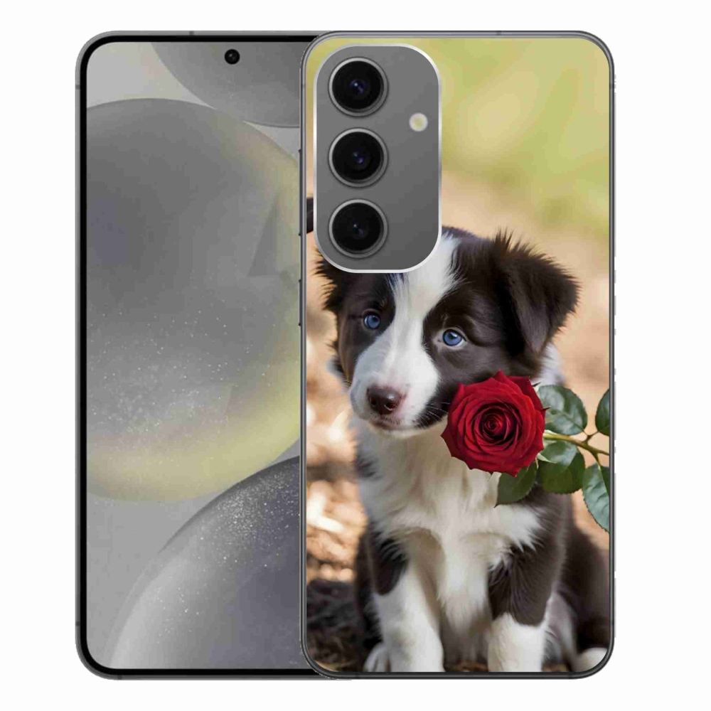 Gélový kryt mmCase na Samsung Galaxy S24+ - roztomilá border kólia s ružou