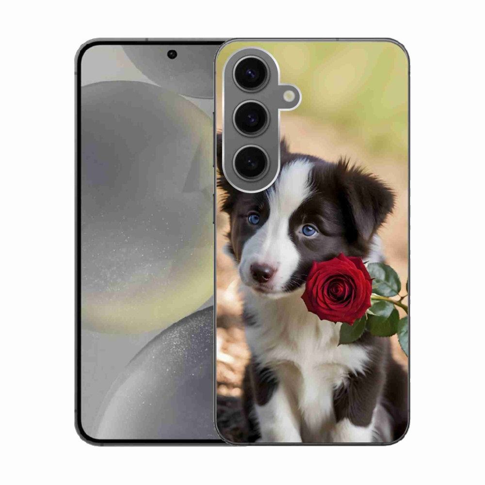 Gélový kryt mmCase na Samsung Galaxy S24 - roztomilá border kólia s ružou