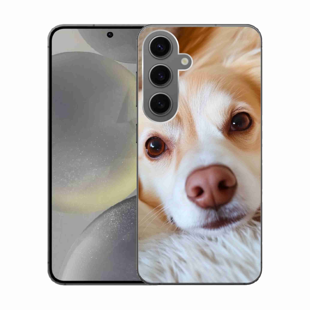 Gélový kryt mmCase na Samsung Galaxy S24 - Roztomilá čivava