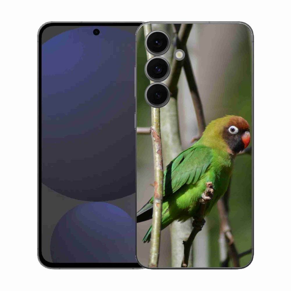 Gélový kryt mmCase na Samsung Galaxy S25 FE - papagáj agapornis