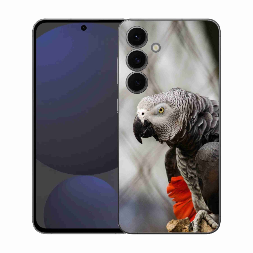 Gélový kryt mmCase na Samsung Galaxy S25 EFE - papagáj žako 3