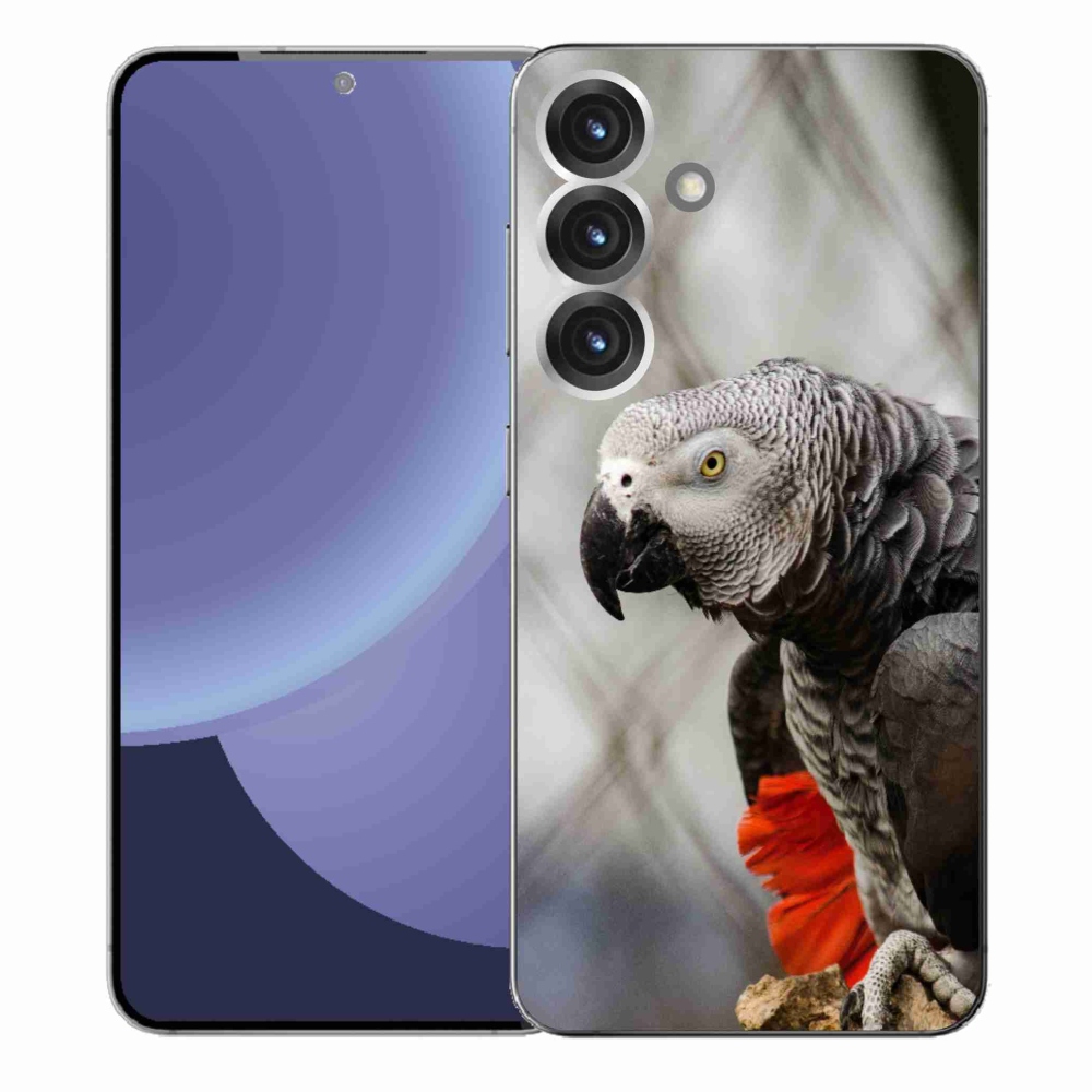 Gélový kryt mmCase na Samsung Galaxy S25+ - papagáj žako 3