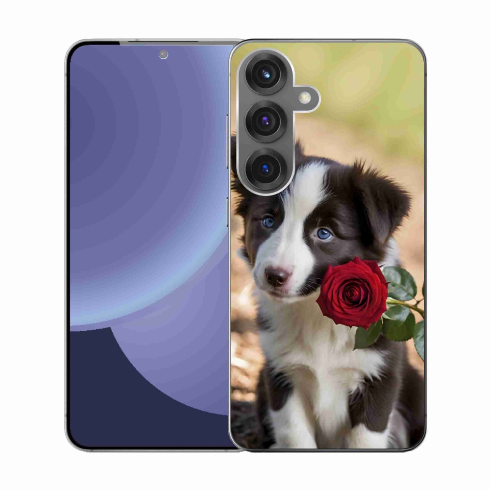 Gélový kryt mmCase na Samsung Galaxy S25 - roztomilá border kólia s ružou