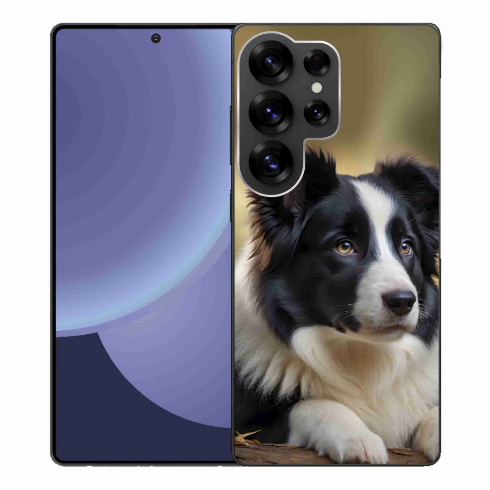 Gélový kryt mmCase na Samsung Galaxy S25 Ultra - border kólia 2