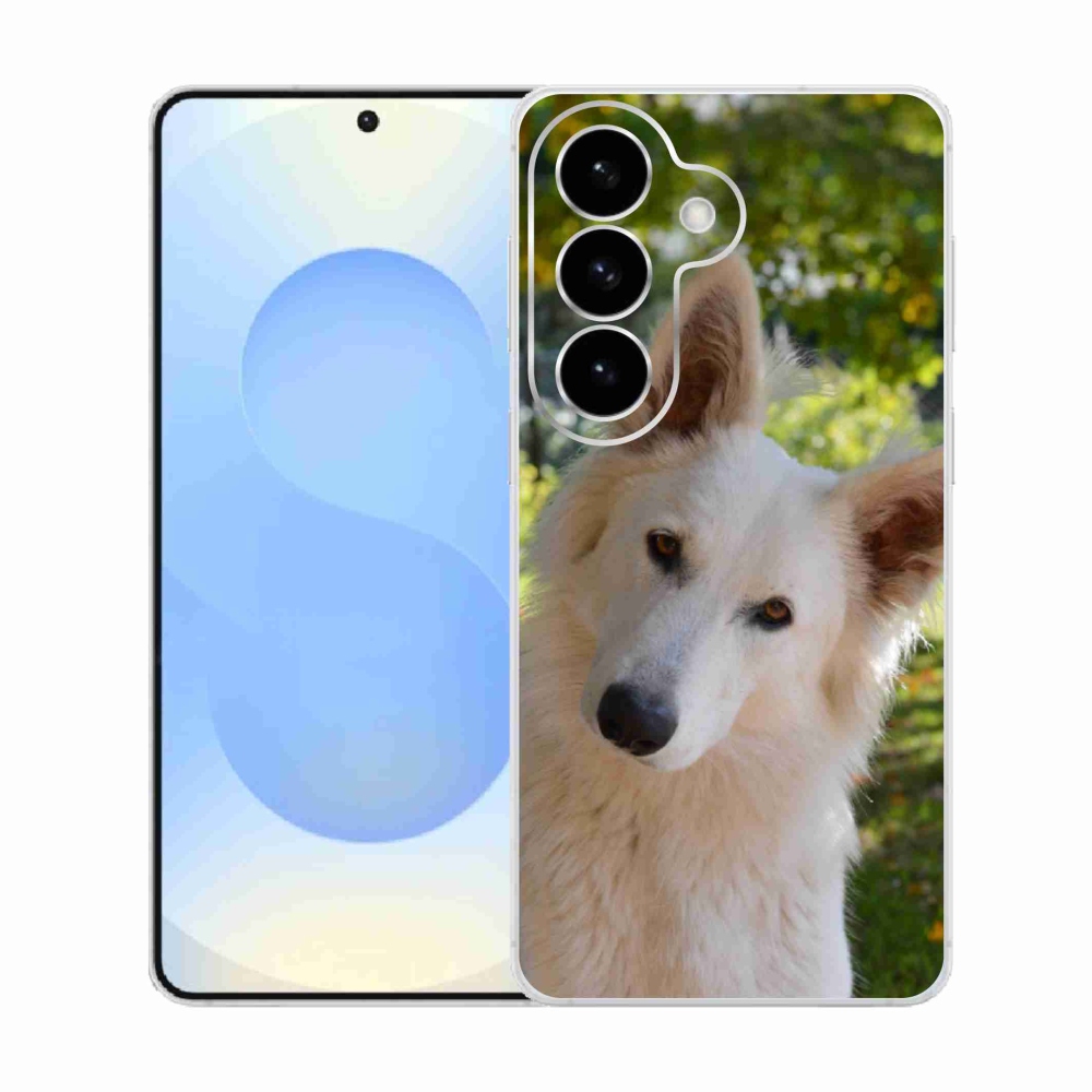 Gélový kryt mmCase na Samsung Galaxy S26 - biely švajčiarsky ovčiak 1