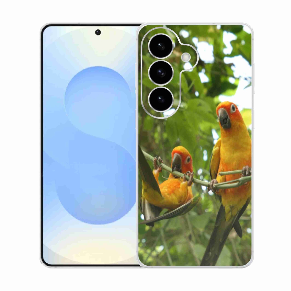 Gélový kryt mmCase na Samsung Galaxy S26 - papagáje aratingy