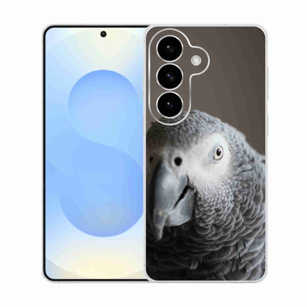 Gélový kryt mmCase na Samsung Galaxy S26 - papagáj žako 2