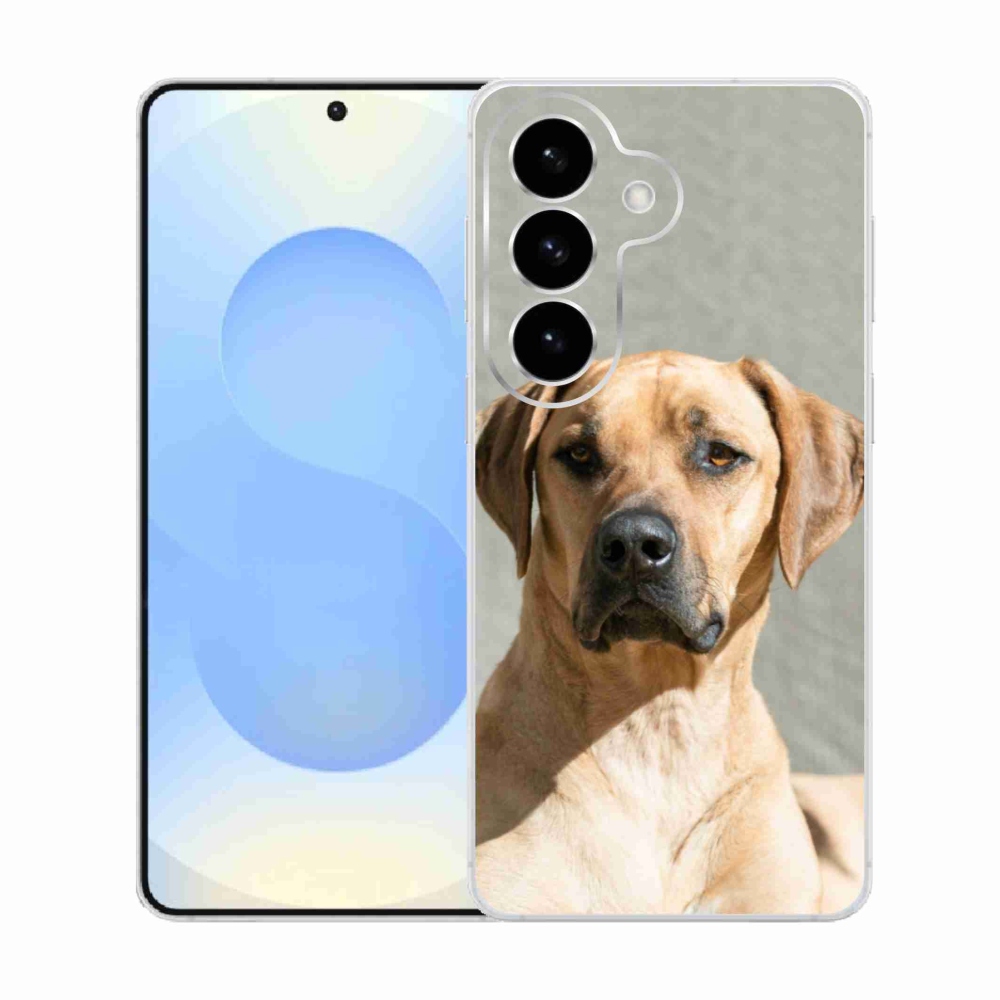 Gélový kryt mmCase na Samsung Galaxy S26 - ridgeback