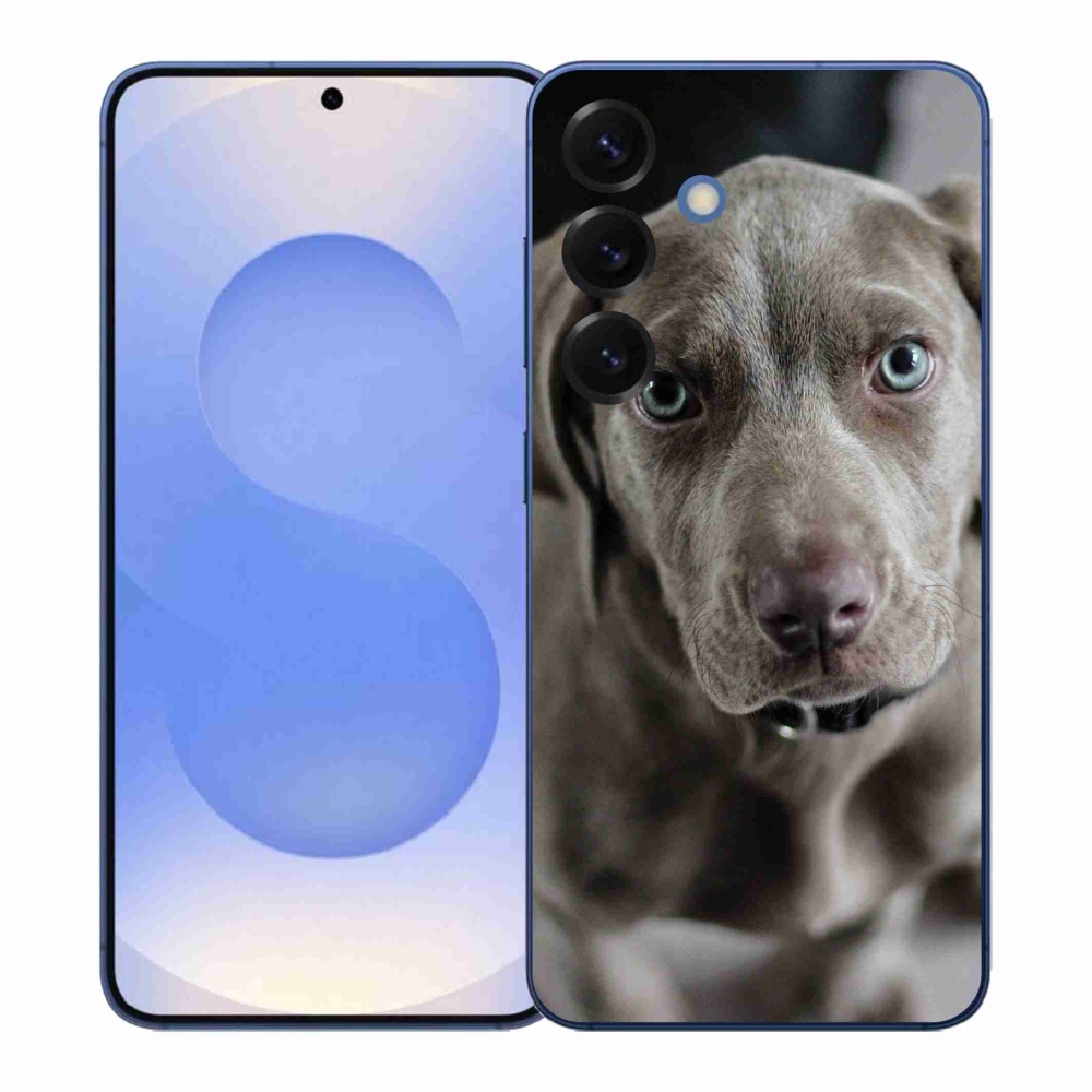 Gélový kryt mmCase na Samsung Galaxy S26+ - weimarský stavač