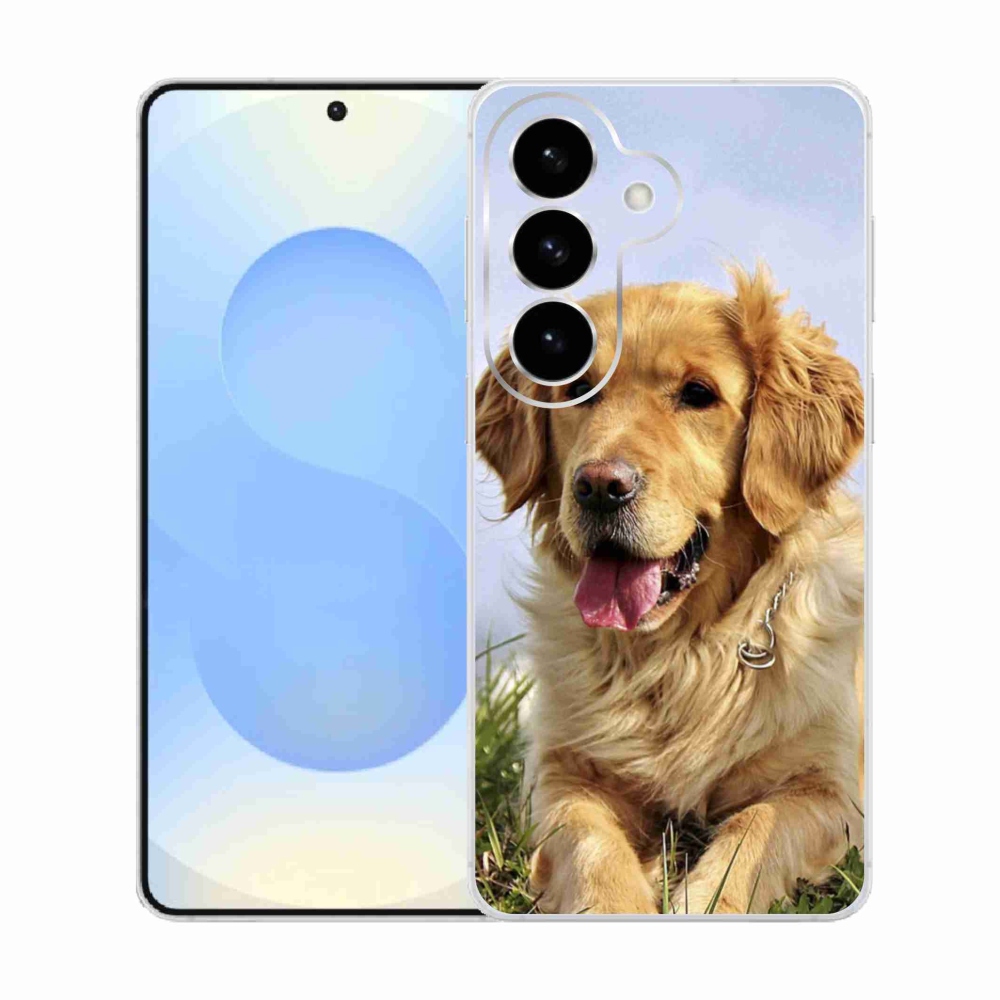 Gélový kryt mmCase na Samsung Galaxy S26 - zlatý retriever