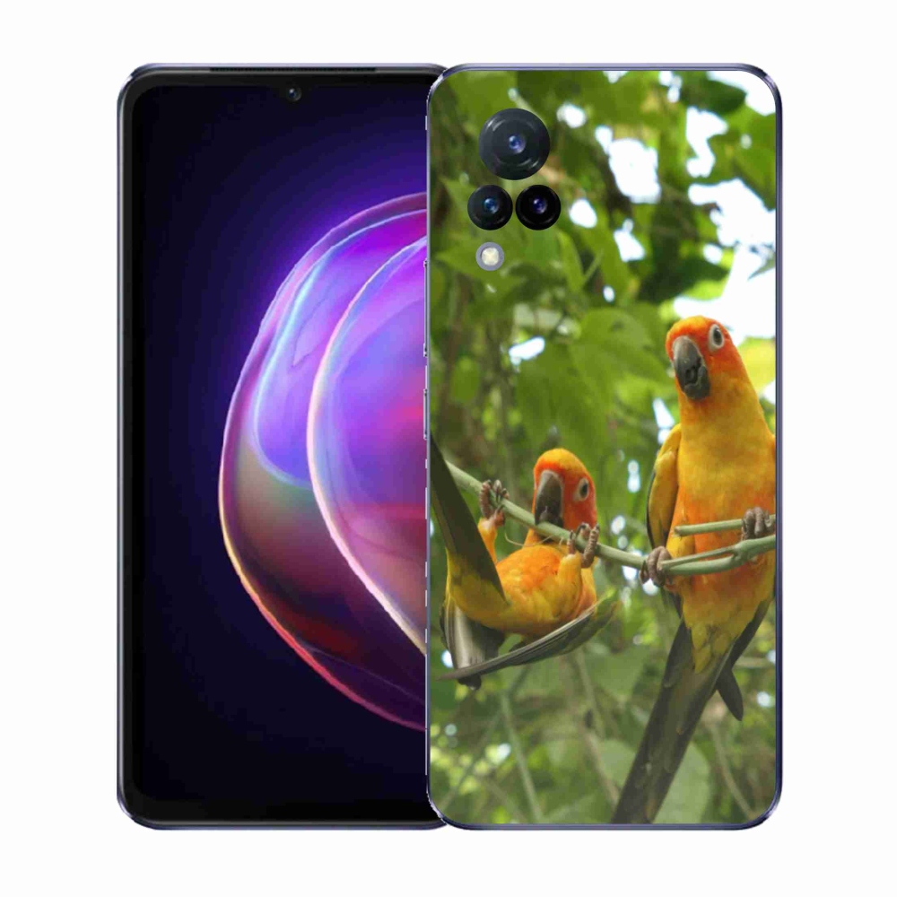 Gélový kryt mmCase na Vivo V21 4G/5G - papagáje aratingy