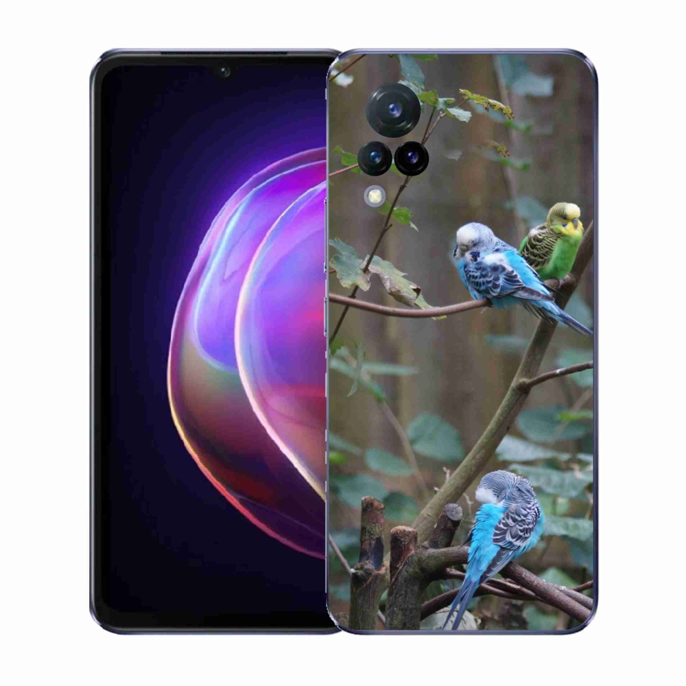Gélový kryt mmCase na Vivo V21 4G/5G - papagáje na vetve