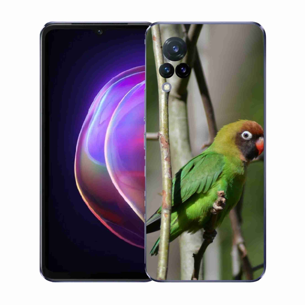 Gélový kryt mmCase na Vivo V21 4G/5G - papagáj agapornis