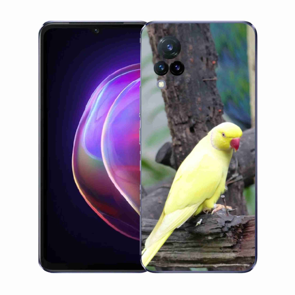 Gélový kryt mmCase na Vivo V21 4G/5G - papagáj alexander žltý