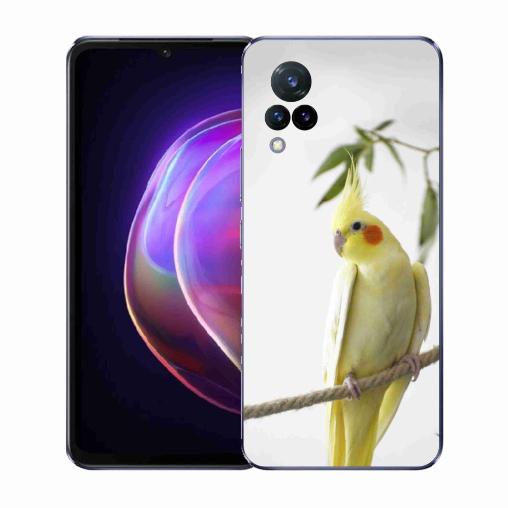 Gélový kryt mmCase na Vivo V21 4G/5G - papagáj korela chocholatá