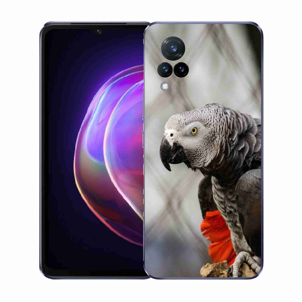 Gélový kryt mmCase na Vivo V21 4G/5G - papagáj žako 3