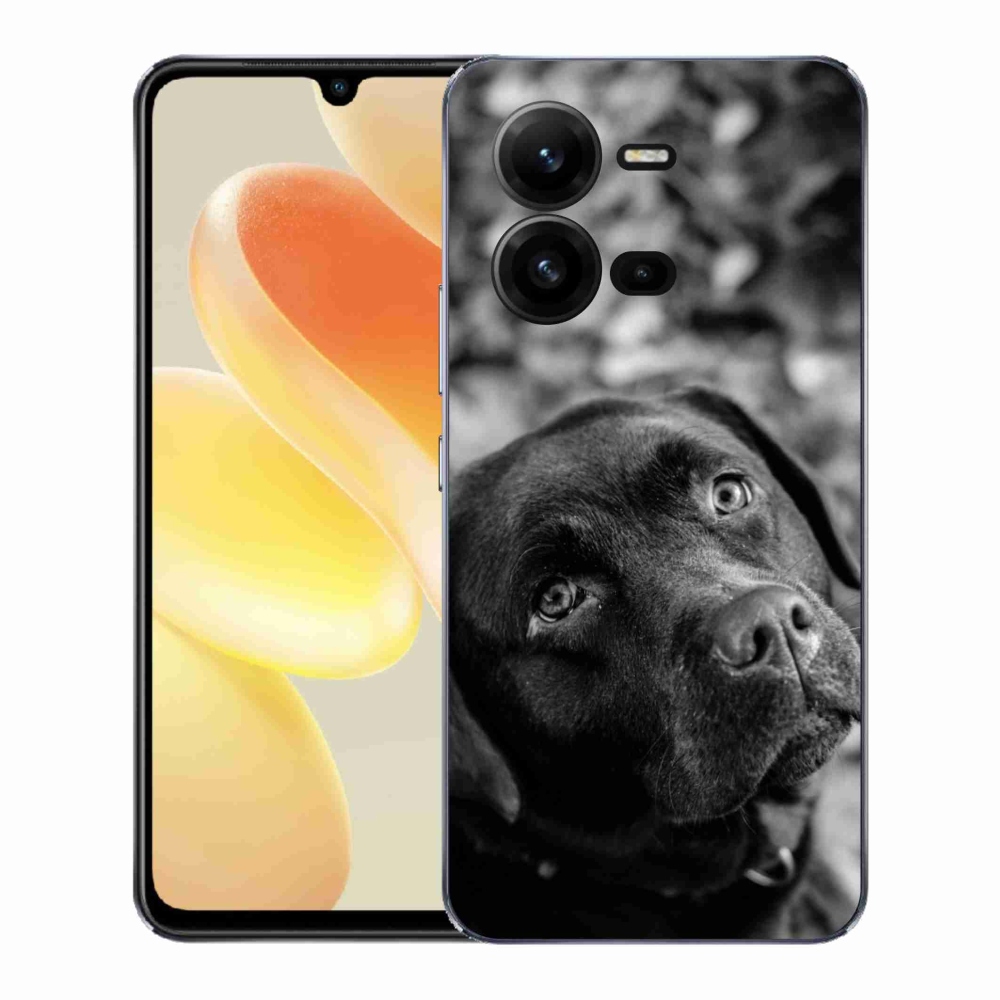 Gélový kryt mmCase na Vivo X80 Lite - labrador