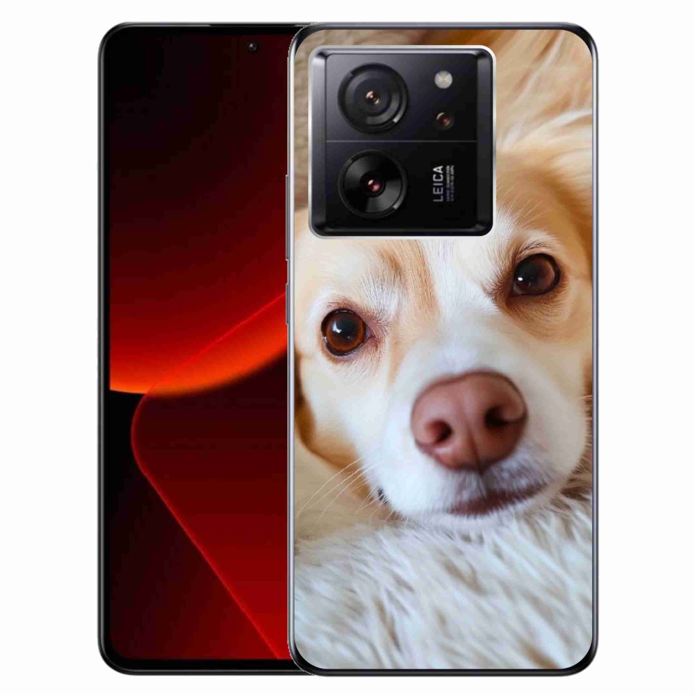 Gélový kryt mmCase na Xiaomi 13T/13T Pro - Roztomilá čivava