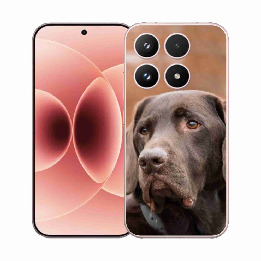 Gélový kryt mmCase na Xiaomi 17 - hnedý labrador