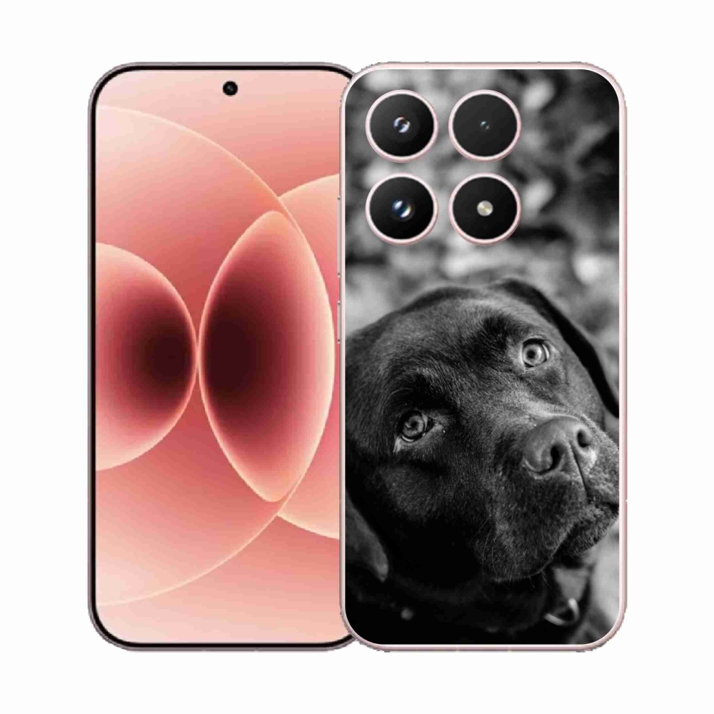 Gélový kryt mmCase na Xiaomi 17 - labrador