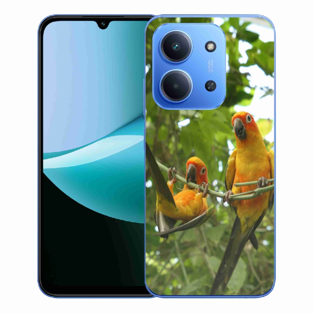 Gélový kryt mmCase na Xiaomi Redmi 15C 4G/5G (173mm) - papagáje aratingy
