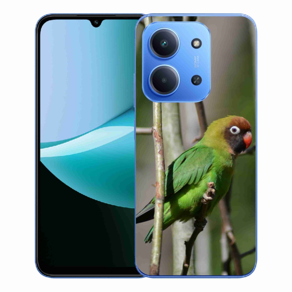Gélový kryt mmCase na Xiaomi Redmi 15C 4G/5G (173mm) - papagáj agapornis