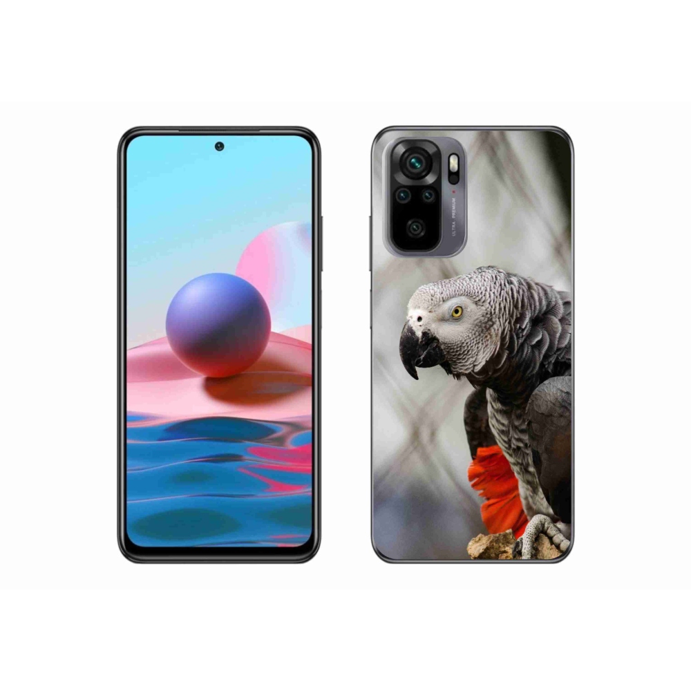 Gélový kryt mmCase na Xiaomi Redmi Note 10 - papagáj žako 3