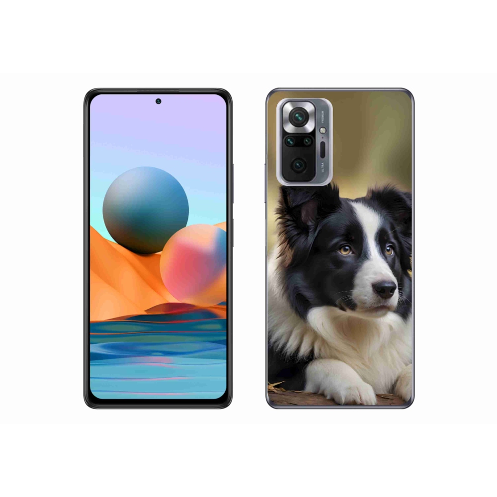 Gélový kryt mmCase na Xiaomi Redmi Note 10 Pro - border kólia 2