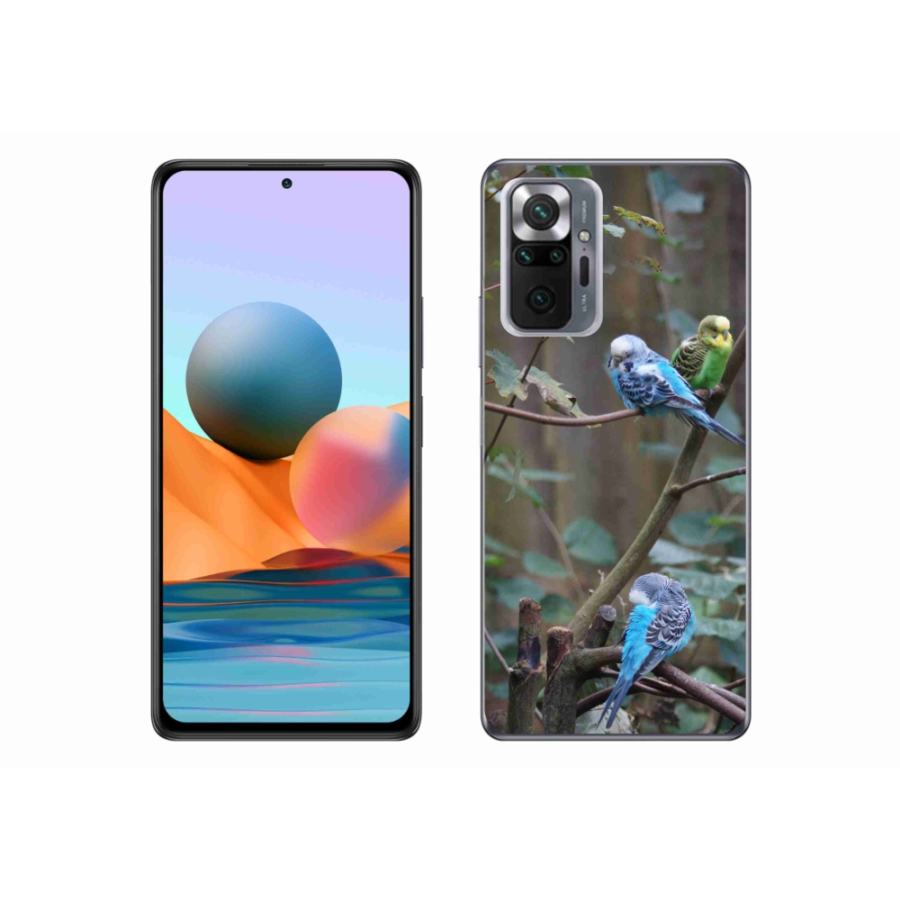 Gélový kryt mmCase na Xiaomi Redmi Note 10 Pro - papagáje na vetve
