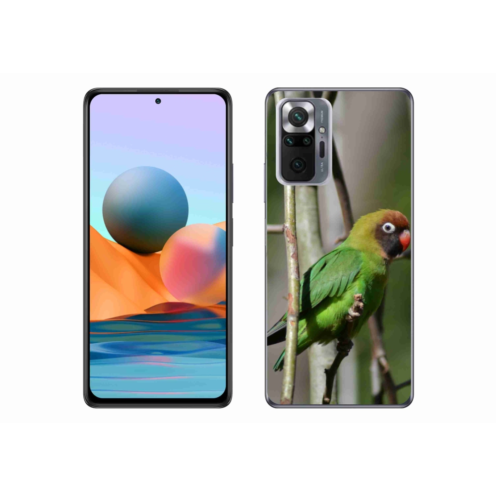 Gélový kryt mmCase na Xiaomi Redmi Note 10 Pro - papagáj agapornis
