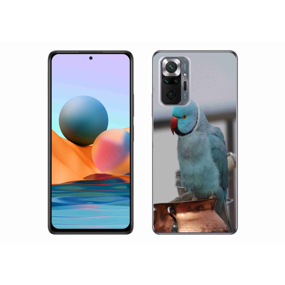Gélový kryt mmCase na Xiaomi Redmi Note 10 Pro - papagáj alexander modrý