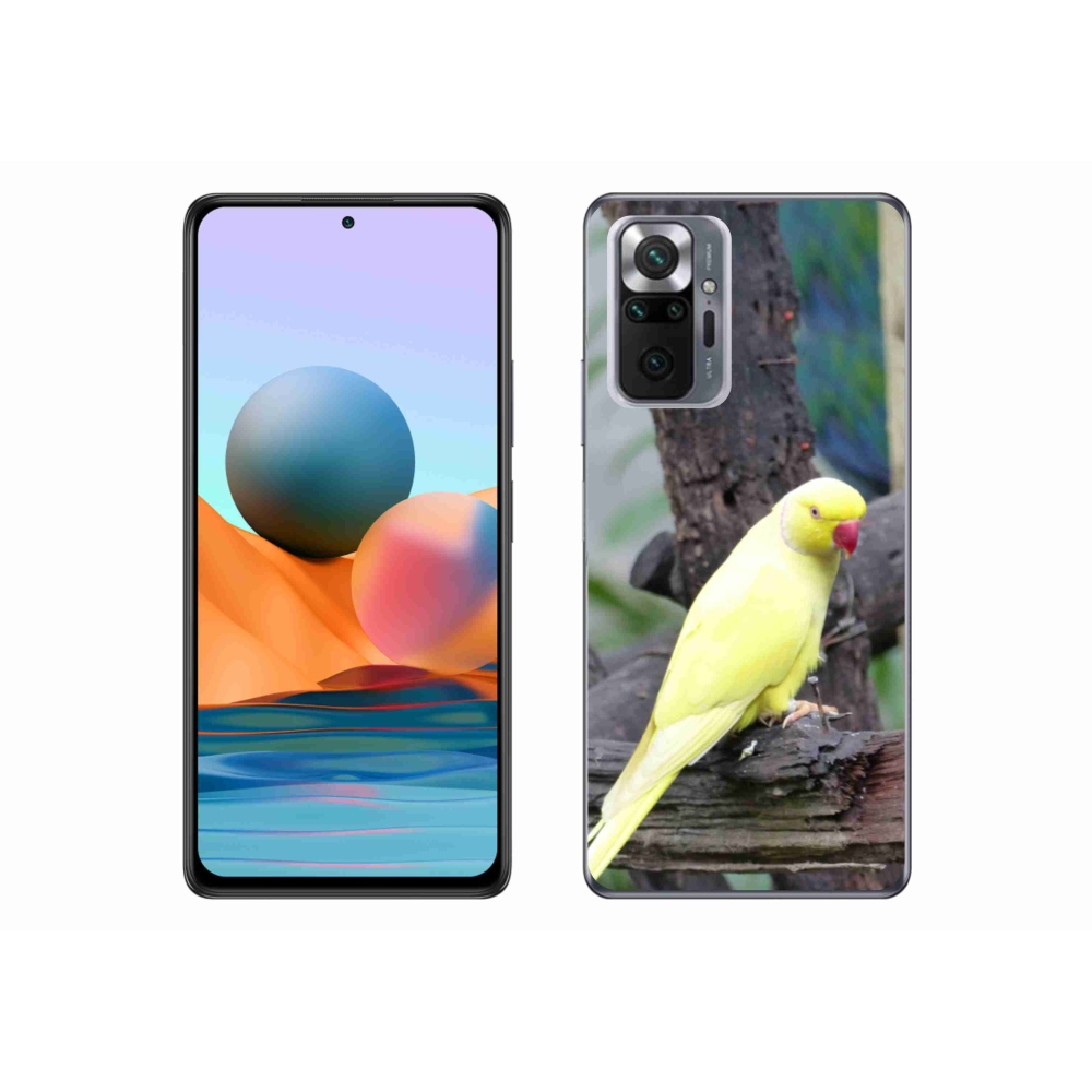 Gélový kryt mmCase na Xiaomi Redmi Note 10 Pro - papagáj alexander žltý