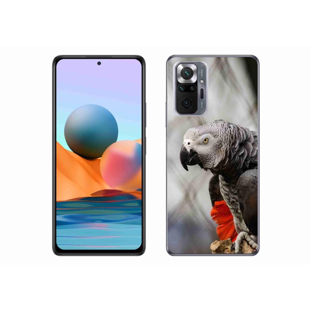 Gélový kryt mmCase na Xiaomi Redmi Note 10 Pro - papagáj žako 3
