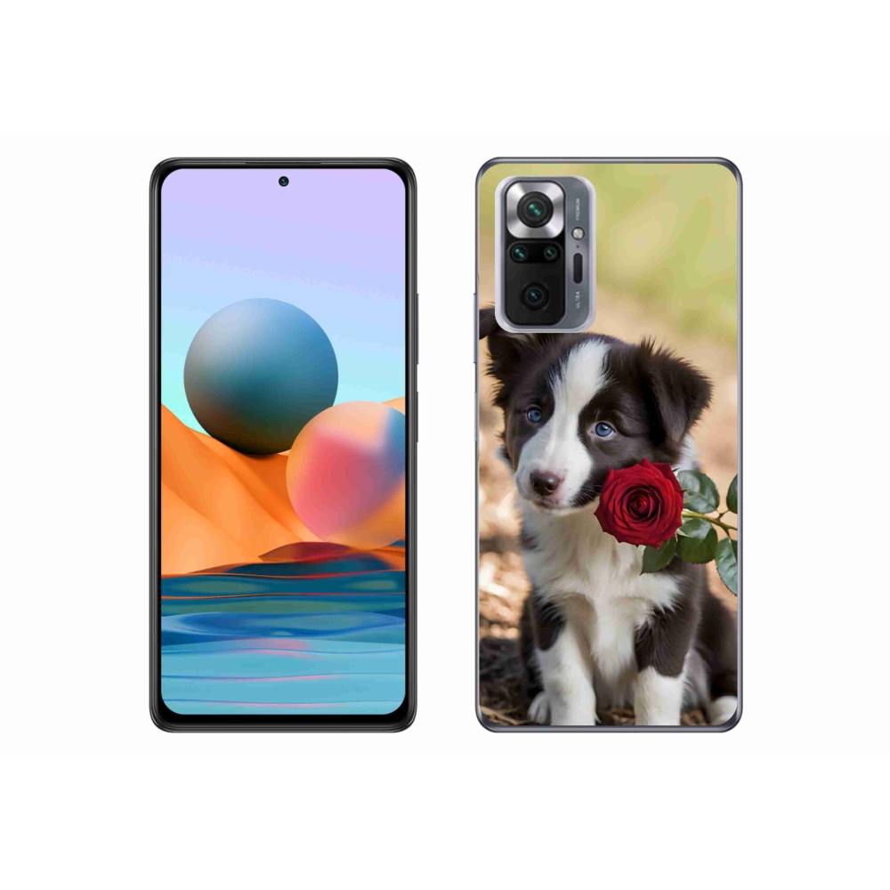 Gélový kryt mmCase na Xiaomi Redmi Note 10 Pro - roztomilá border kólia s ružou