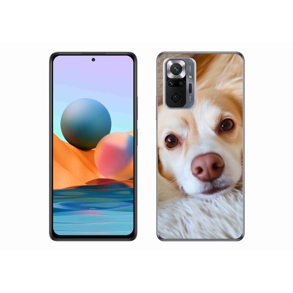Gélový kryt mmCase na Xiaomi Redmi Note 10 Pro - Roztomilá čivava
