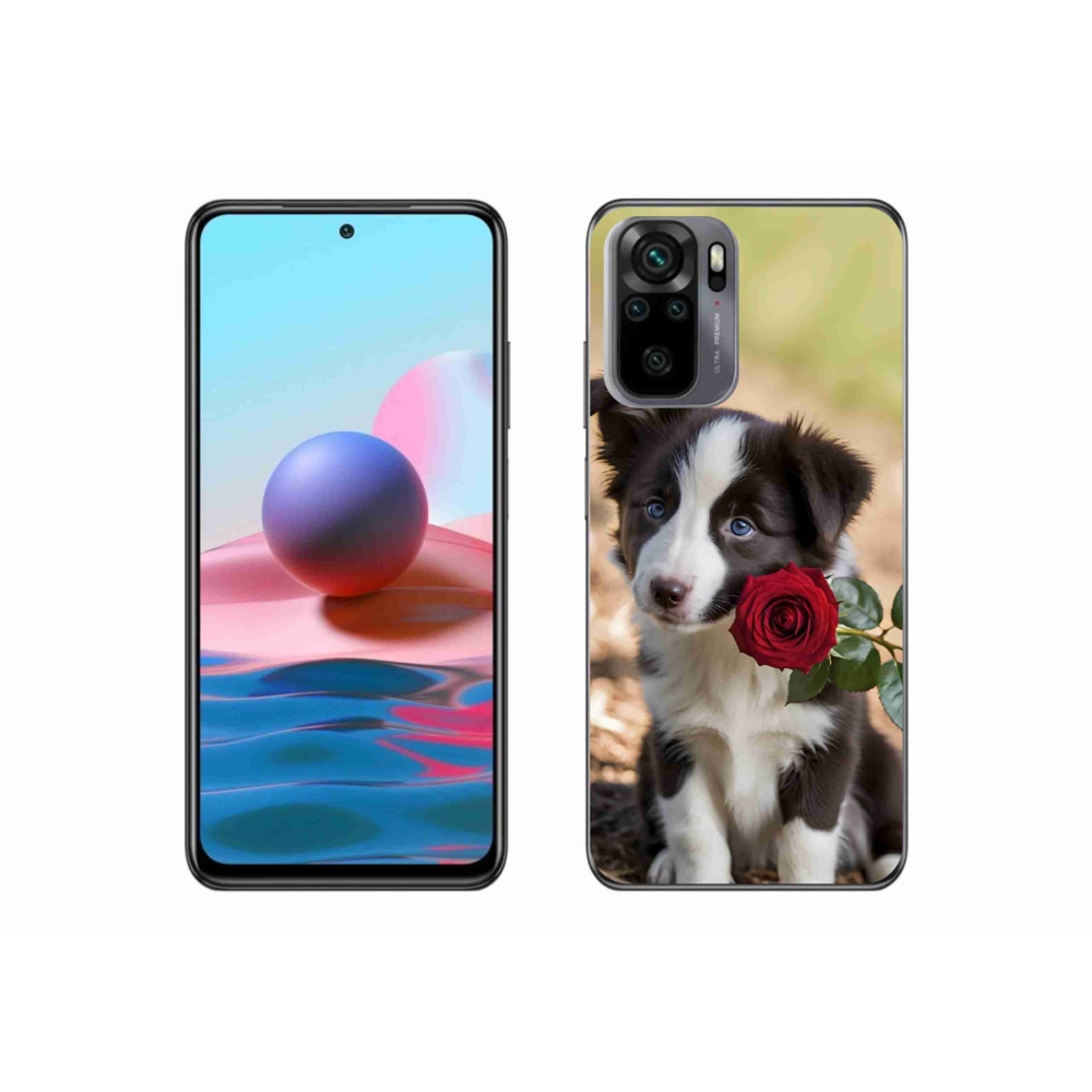 Gélový kryt mmCase na Xiaomi Redmi Note 10 - roztomilá border kólia s ružou