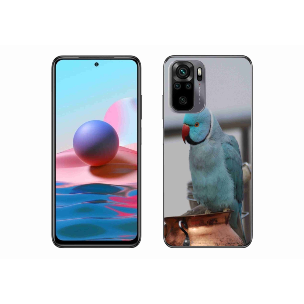 Gélový kryt mmCase na Xiaomi Redmi Note 10S - papagáj alexander modrý