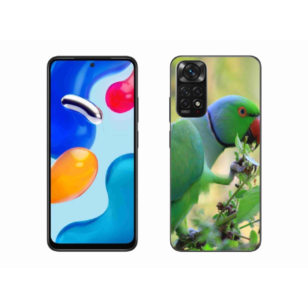 Gélový kryt mmCase na Xiaomi Redmi Note 11 4G - papagáj Alexandr