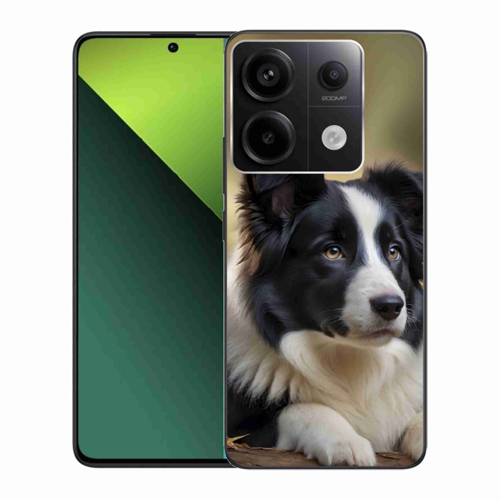 Gélový kryt mmCase na Xiaomi Redmi Note 13 Pre 5G/Poco X6 5G - border kólia 2