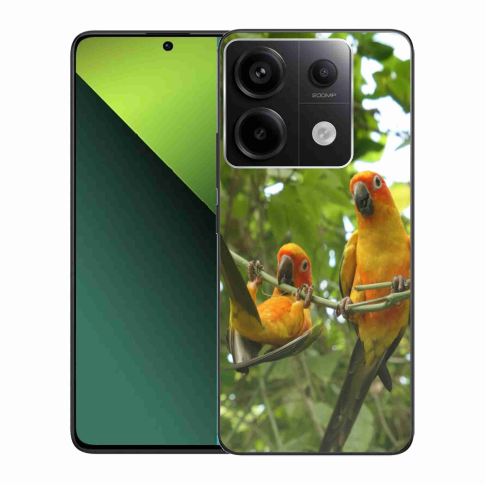 Gélový kryt mmCase na Xiaomi Redmi Note 13 Pro 5G/Poco X6 5G - papagáje aratingy