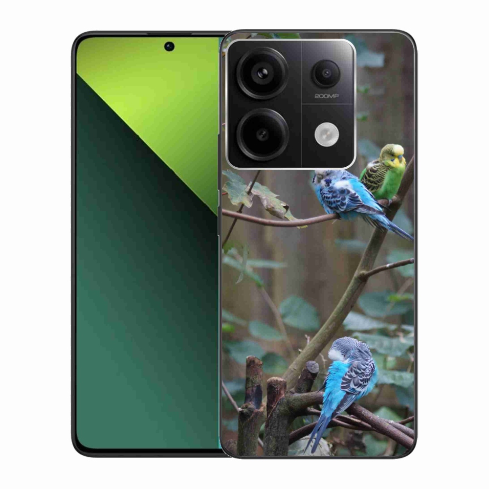 Gélový kryt mmCase na Xiaomi Redmi Note 13 Pre 5G/Poco X6 5G - papagáje na vetve