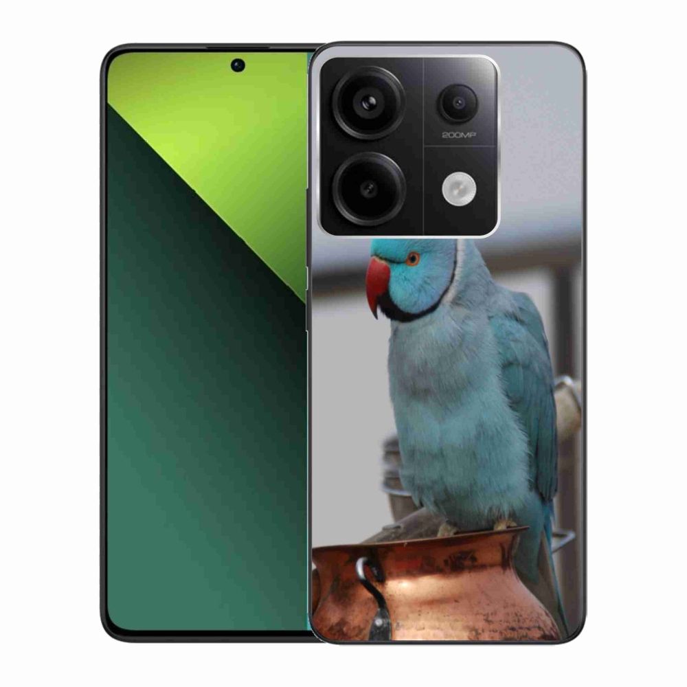 Gélový kryt mmCase na Xiaomi Redmi Note 13 Pro 5G/Poco X6 5G - papagáj alexander modrý