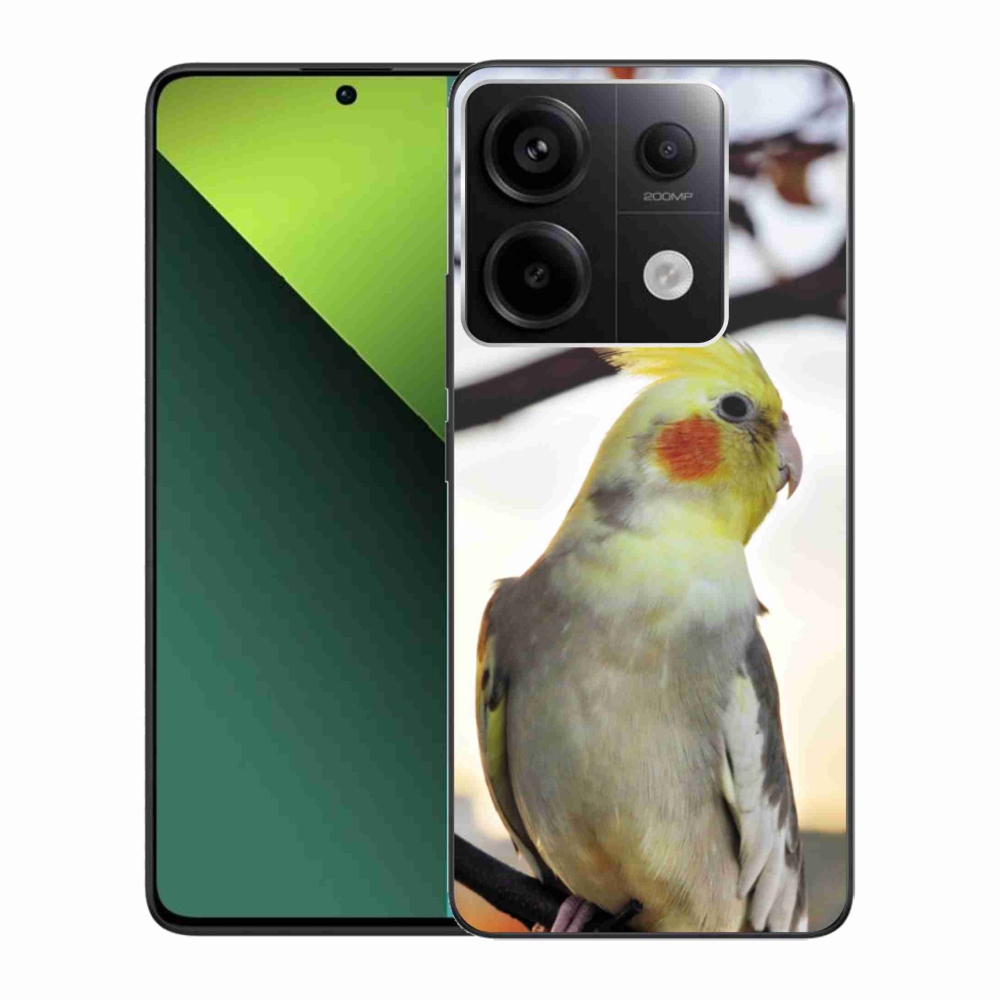 Gélový kryt mmCase na Xiaomi Redmi Note 13 Pro 5G/Poco X6 5G - papagáj korela